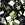 Grossist i Cc458 - Miyuki tila brune irisperler 5 mm (5g)