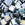 Grossist i Cc401fr - Miyuki tila matte sorte perler på 5 mm (5g)