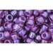 Creez avec cc928 perles de rocaille Toho 6/0 rainbow rosaline/opaque purple lined (10g)