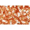 Kjøp cc31 - Toho frøkuler 6/0 sølvforet rosaline (10g)