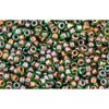 Kjøp cc249 - Toho frøperler 15/0 innvendig farge peridot/smaragdfôret (5g)