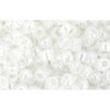 Kjøp cc141 - Toho frøperler 8/0 ceylon snøfnugg (10g)
